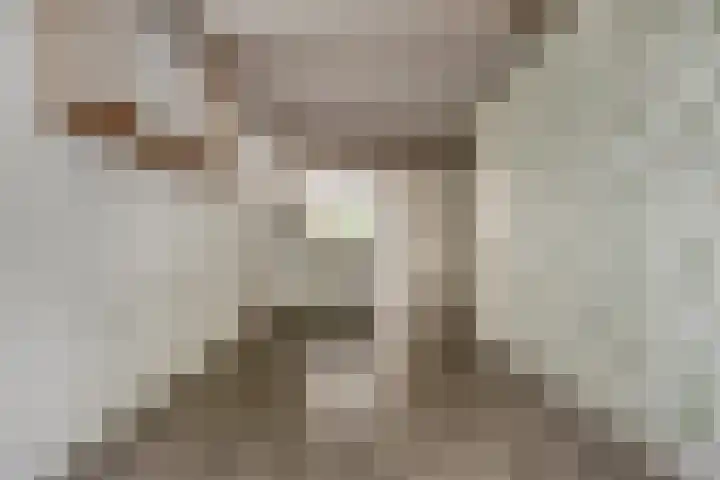 Balie 3 Zierikzee thumbnail 9