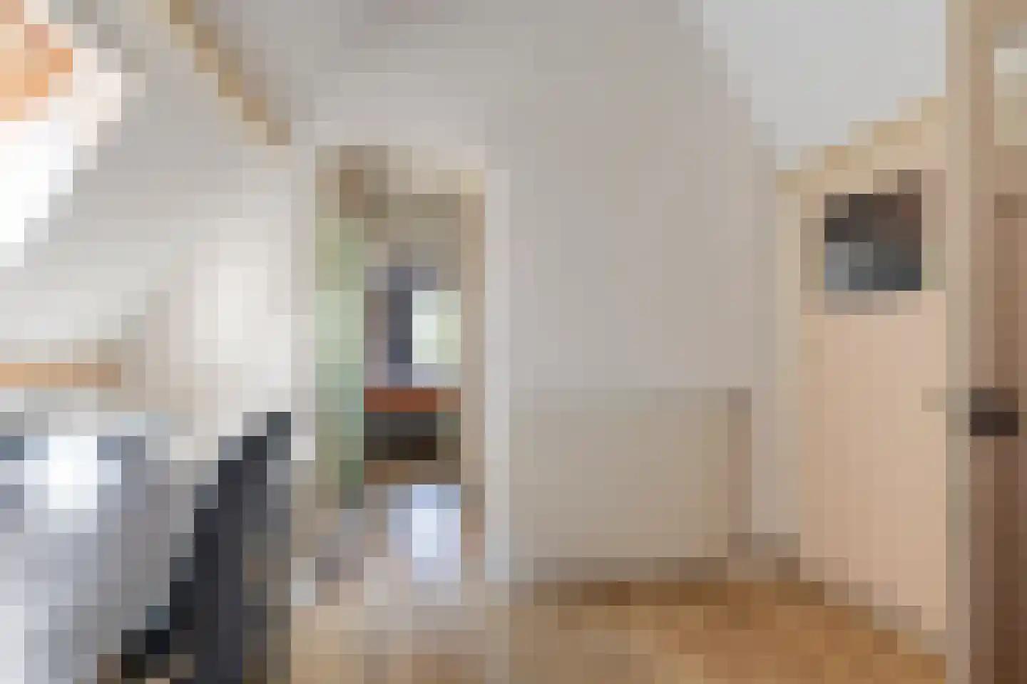 Balie 4 Zierikzee thumbnail 15