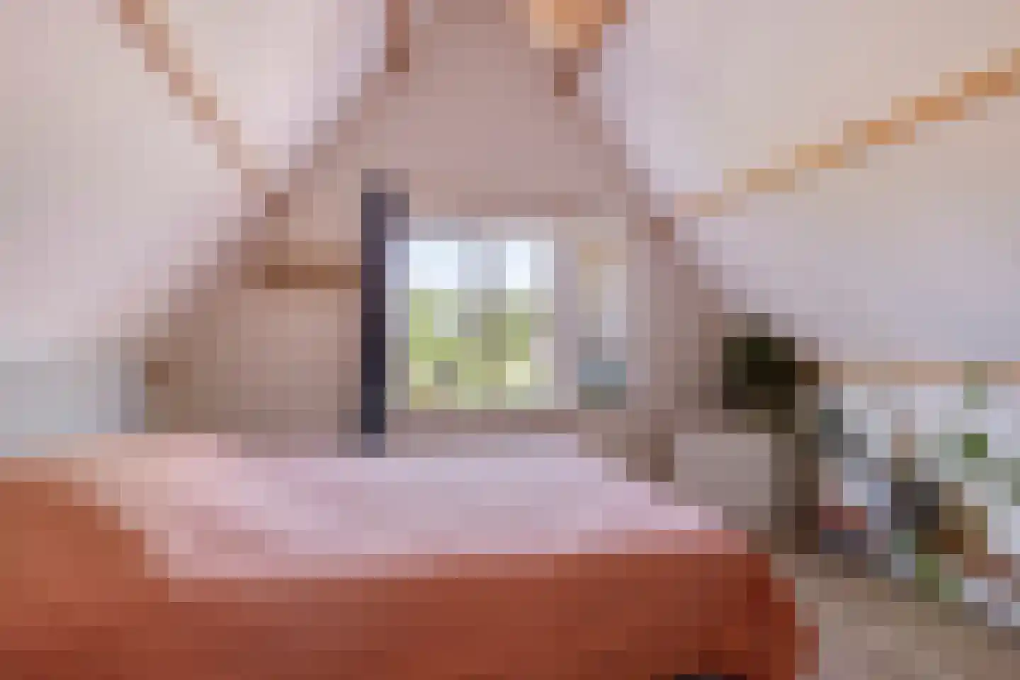 Balie 4 Zierikzee thumbnail 16