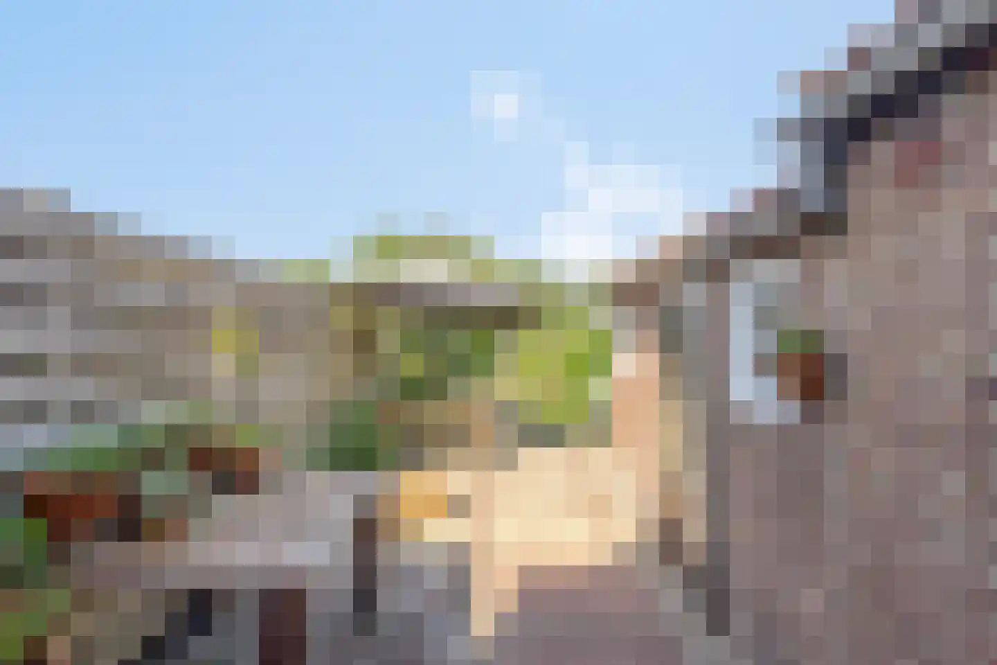 Balie 4 Zierikzee thumbnail 25