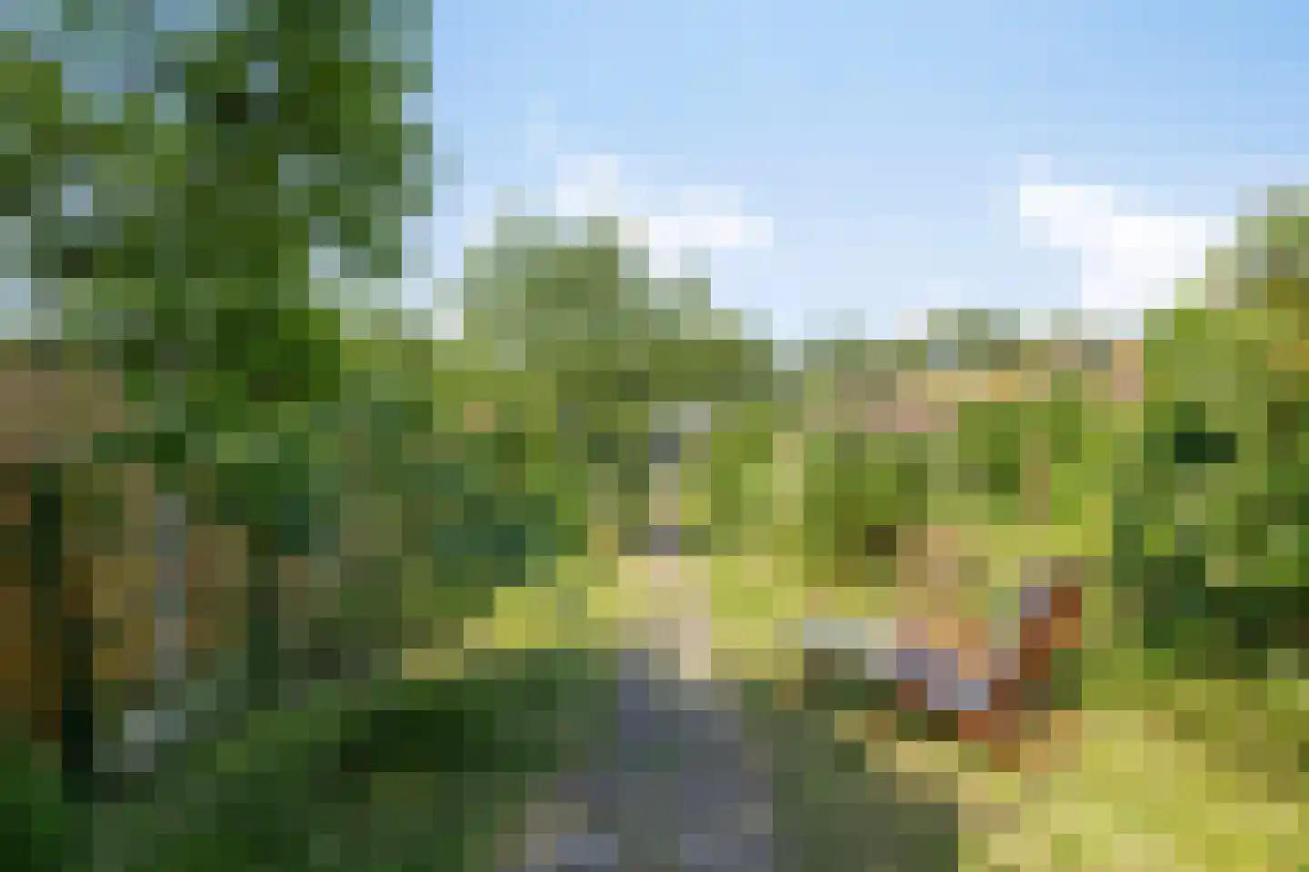 Balie 4 Zierikzee thumbnail 27