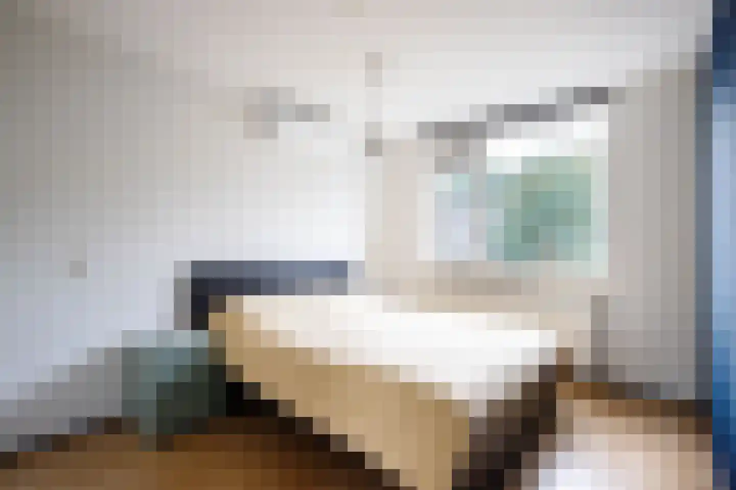 Baliemolenerf 21 Gouda thumbnail 10