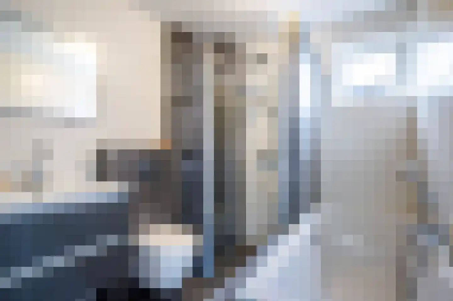 Baliemolenerf 21 Gouda thumbnail 12