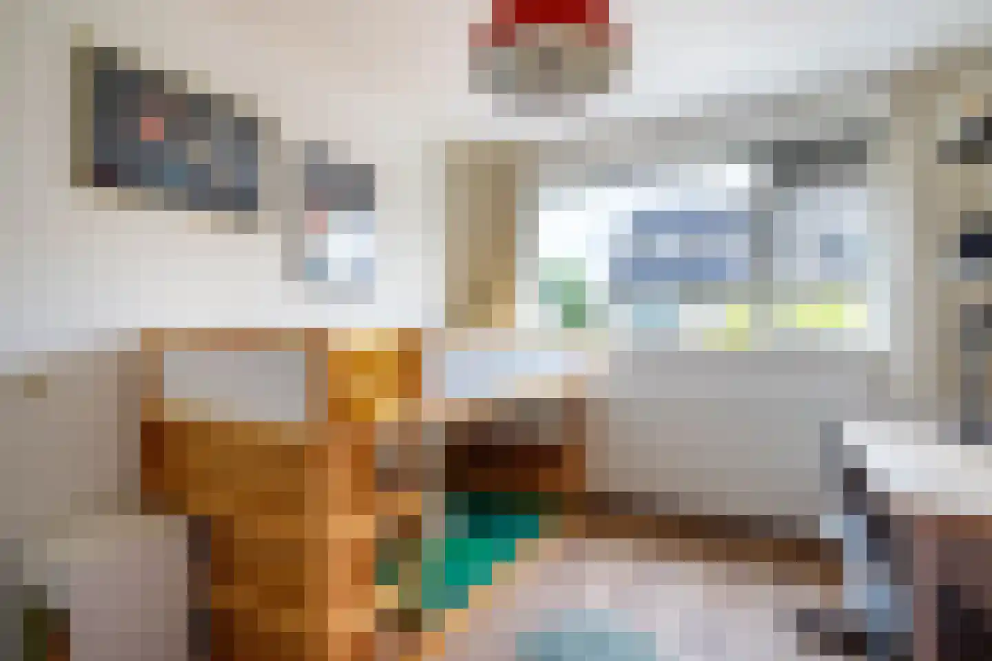 Baliemolenerf 21 Gouda thumbnail 16