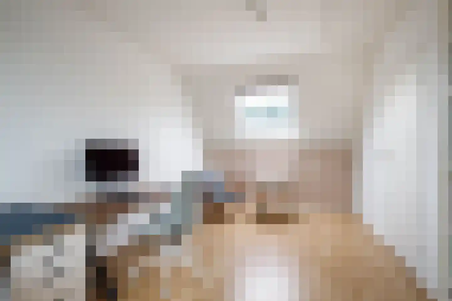 Baliemolenerf 21 Gouda thumbnail 19