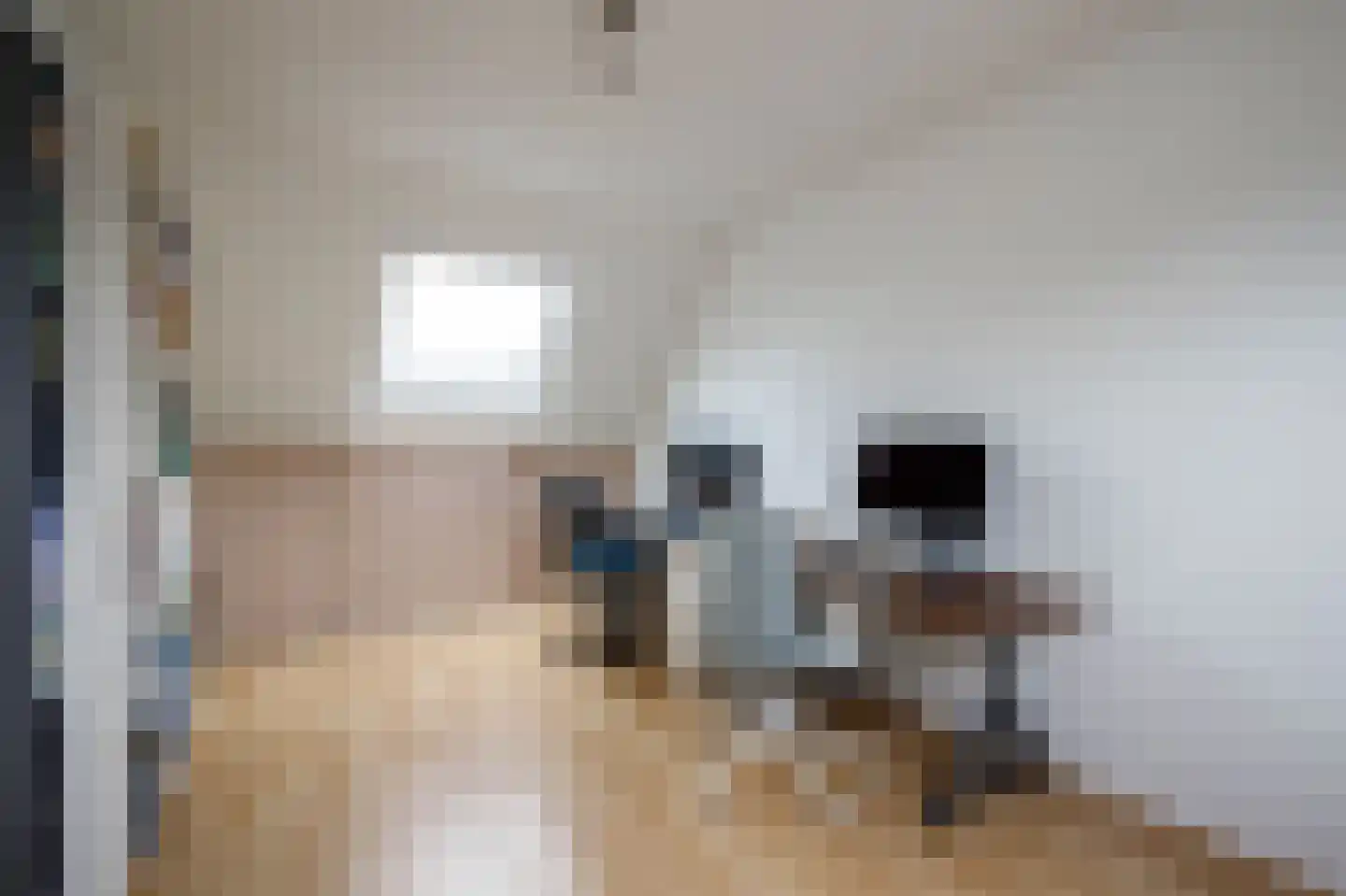 Baliemolenerf 21 Gouda thumbnail 20