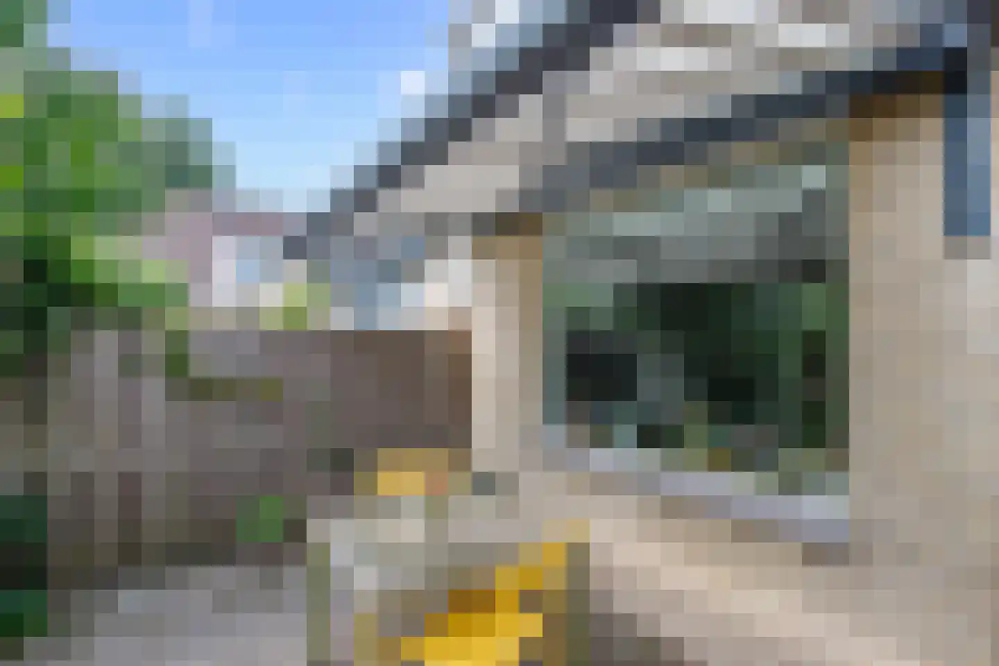 Baliemolenerf 21 Gouda thumbnail 25