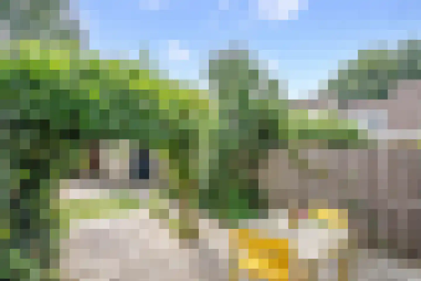 Baliemolenerf 21 Gouda thumbnail 26