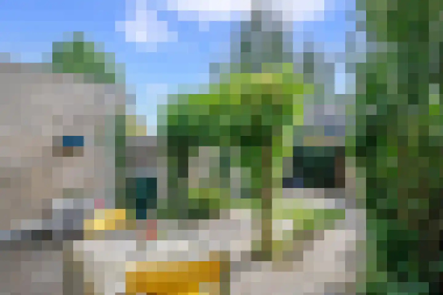Baliemolenerf 21 Gouda thumbnail 27