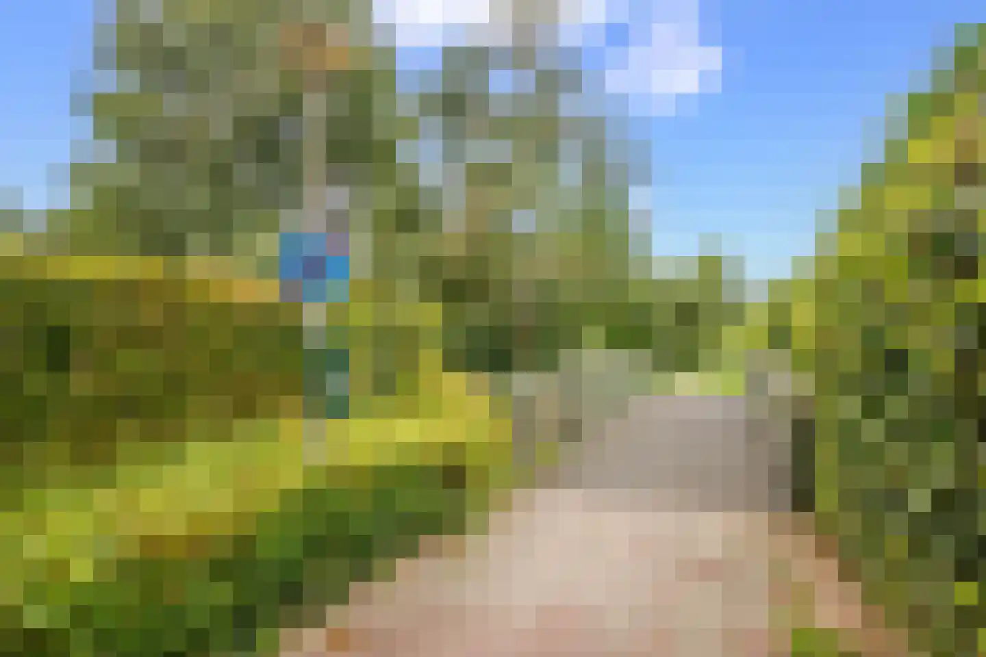 Baliemolenerf 21 Gouda thumbnail 30