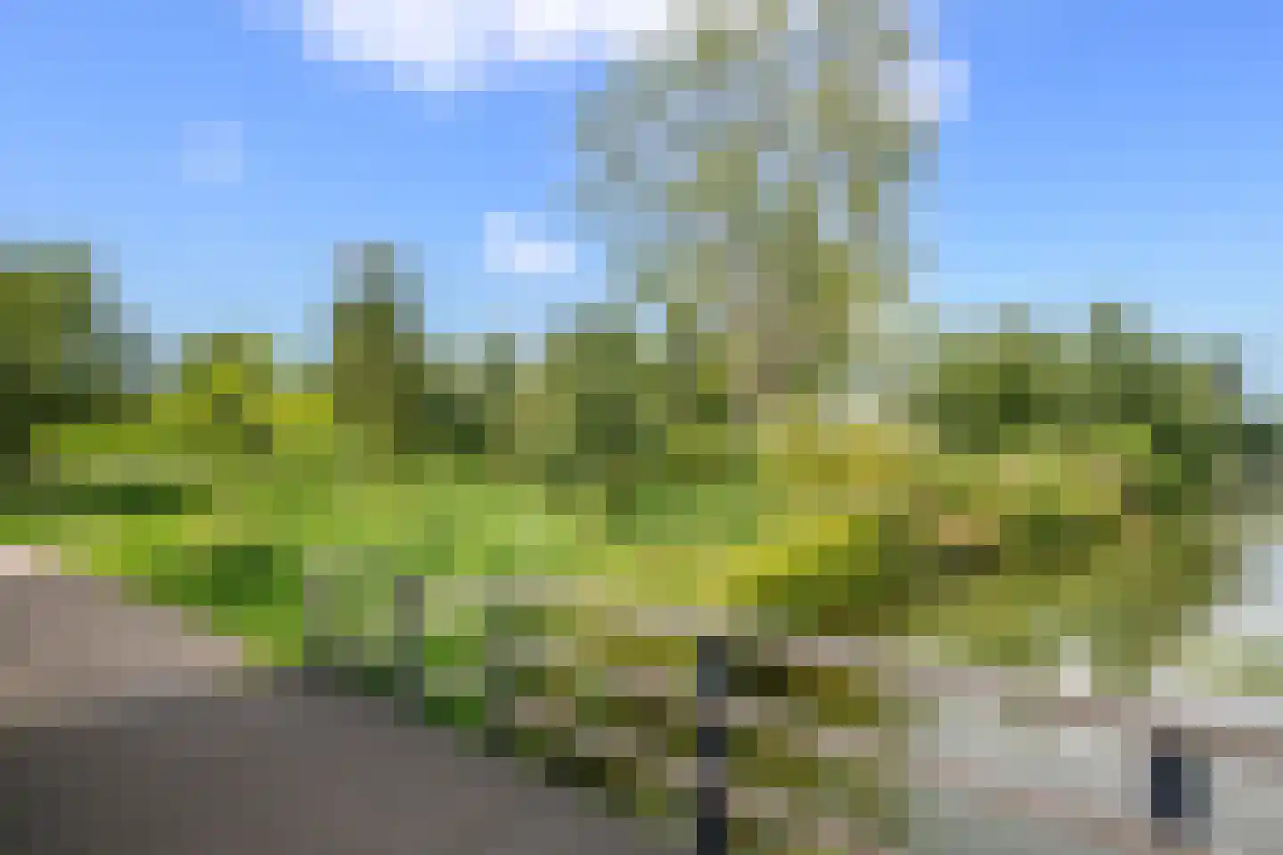 Baliemolenerf 21 Gouda thumbnail 31