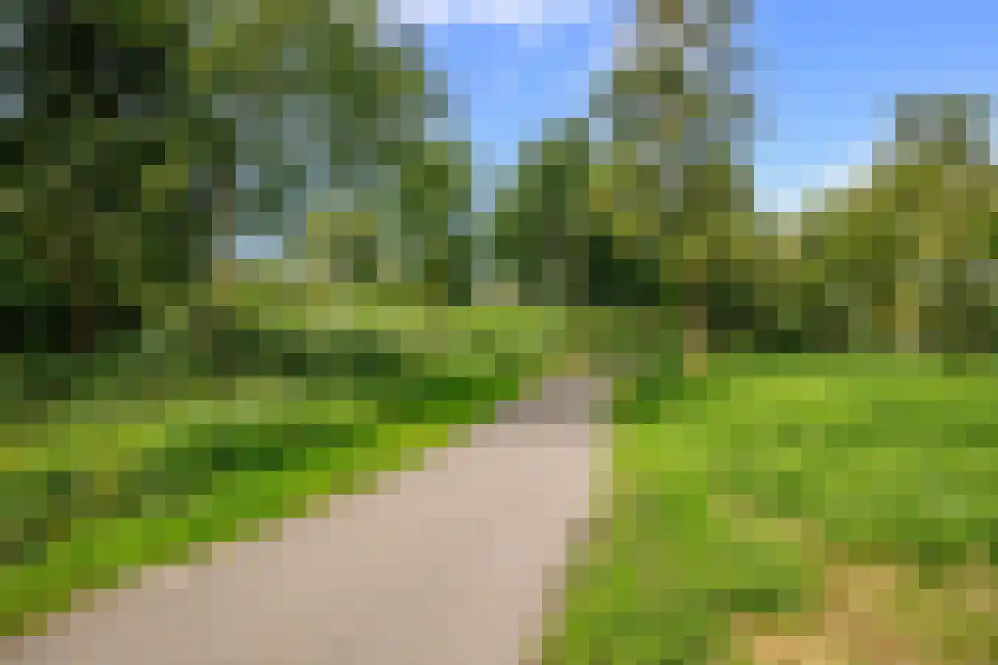 Baliemolenerf 21 Gouda thumbnail 32