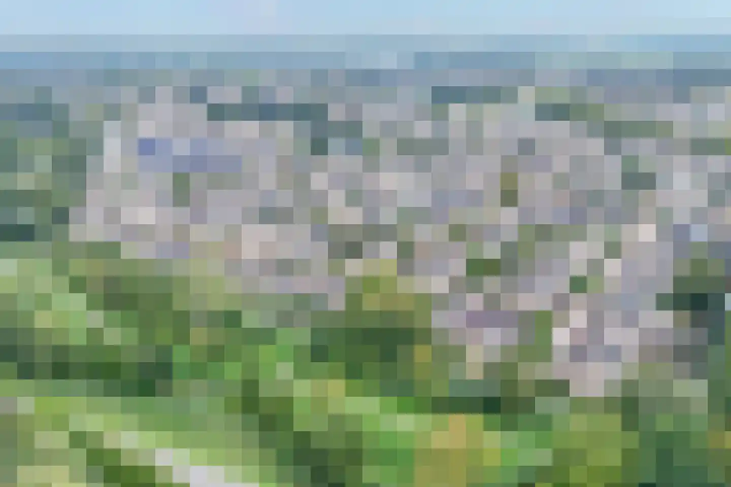 Baliemolenerf 21 Gouda thumbnail 35