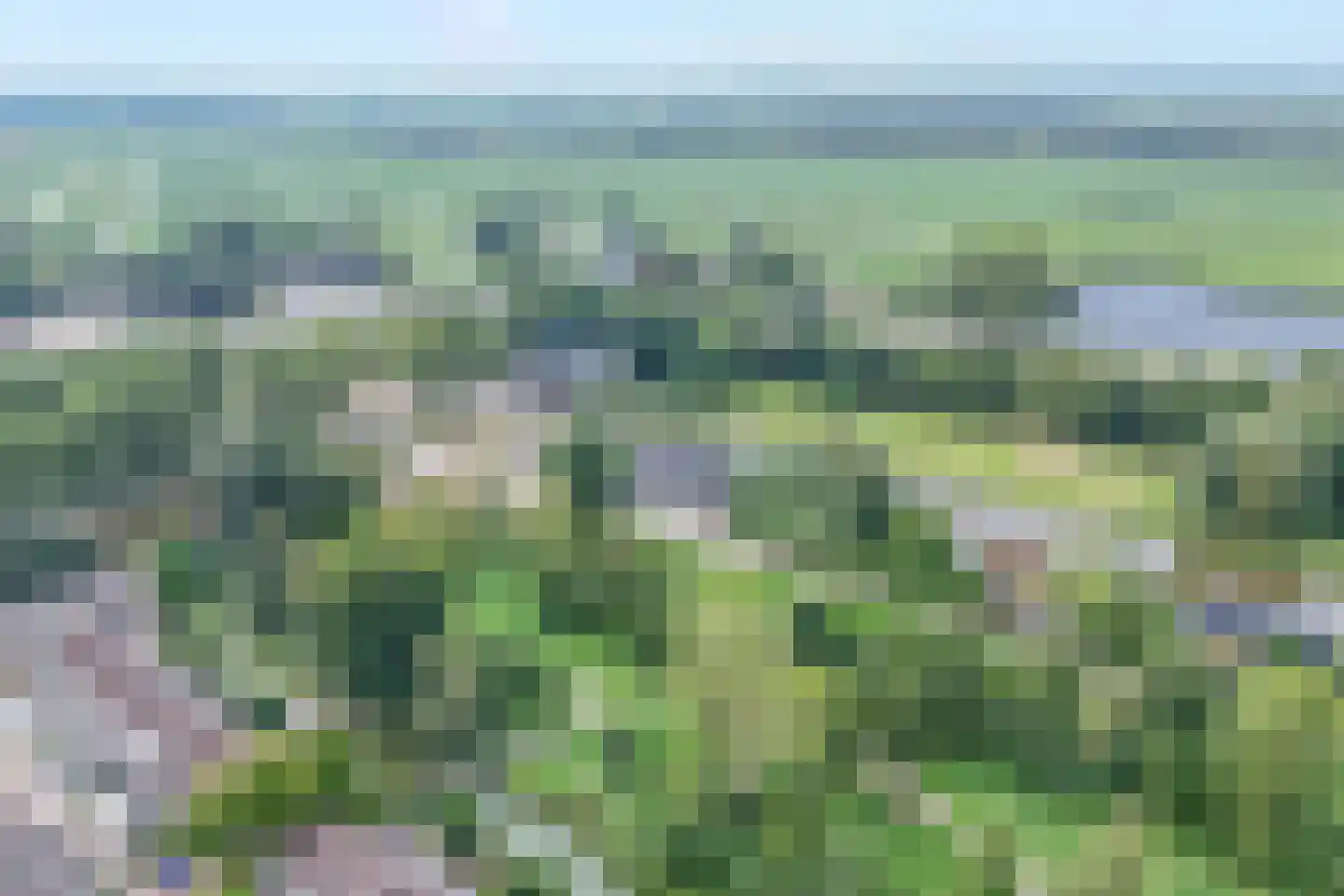 Baliemolenerf 21 Gouda thumbnail 37