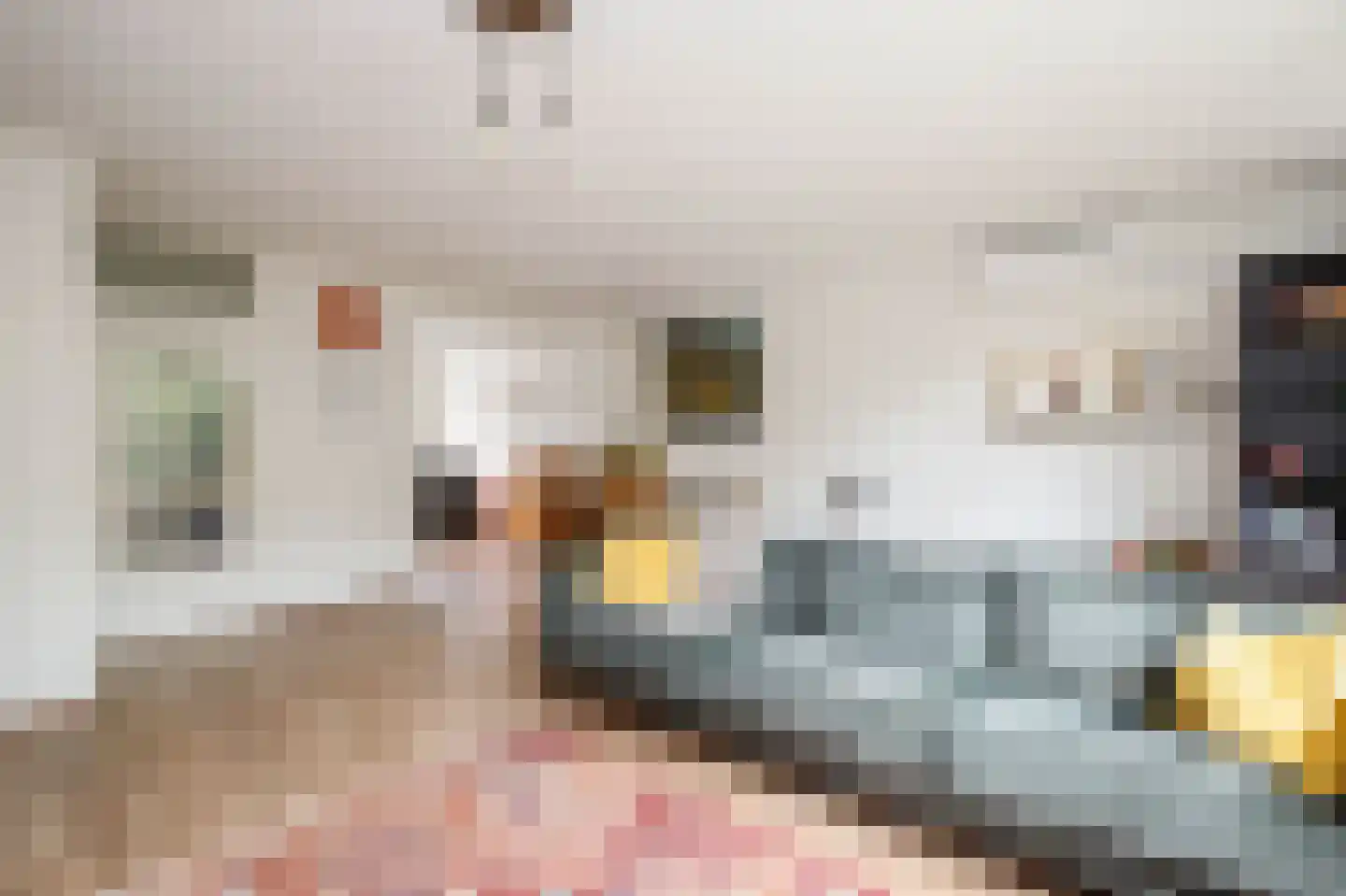 Baliemolenerf 21 Gouda thumbnail 4