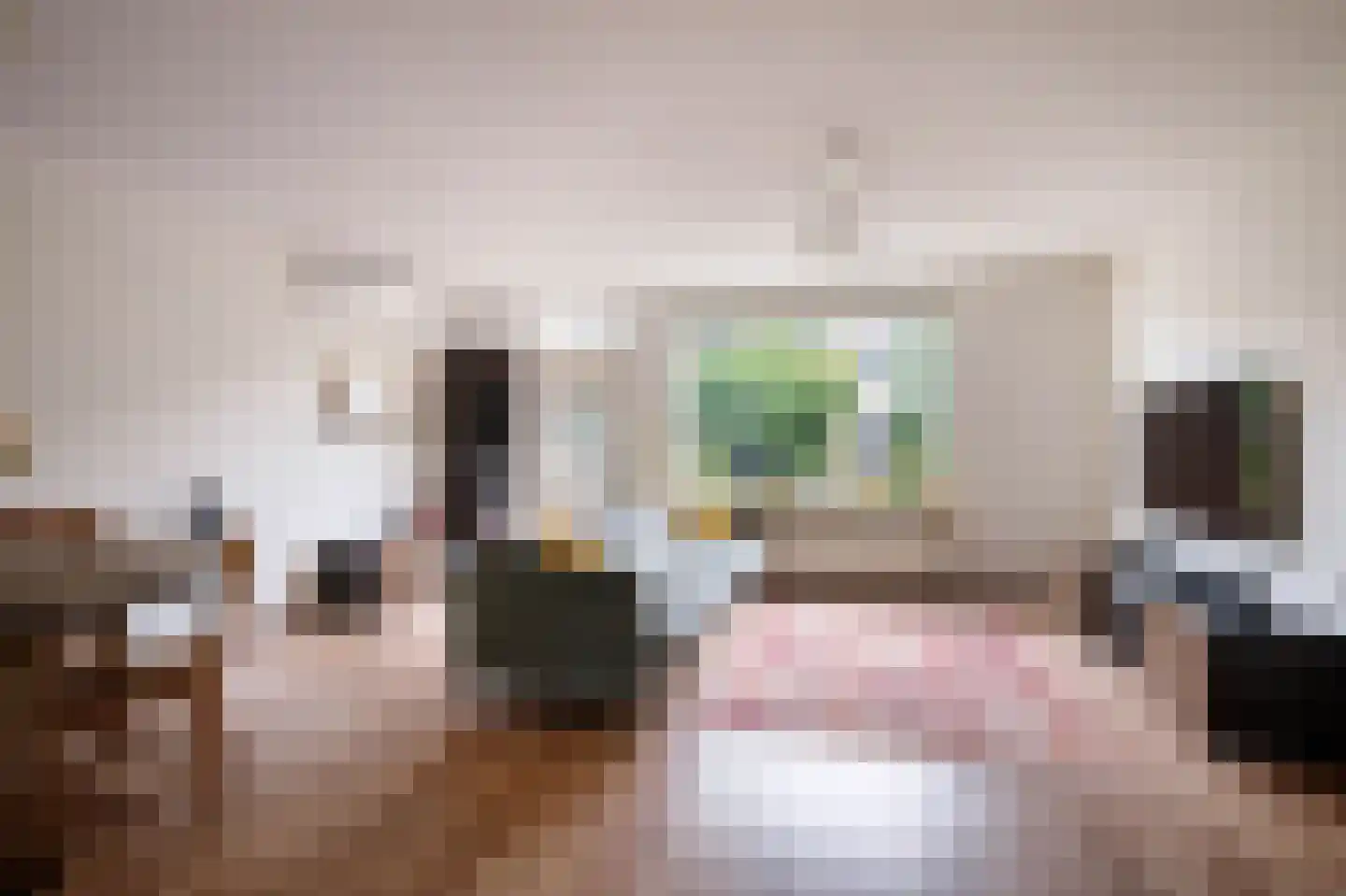 Baliemolenerf 21 Gouda thumbnail 5