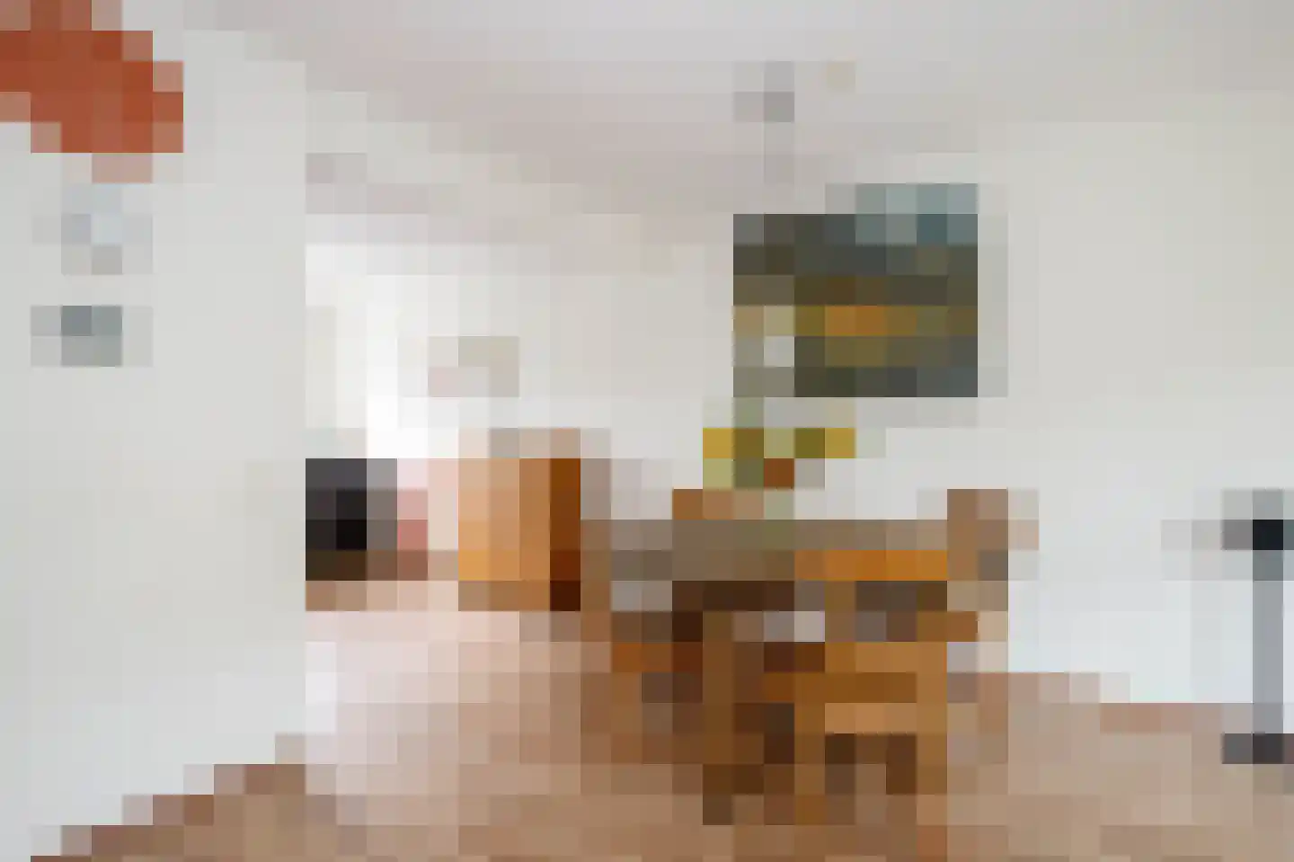 Baliemolenerf 21 Gouda thumbnail 6