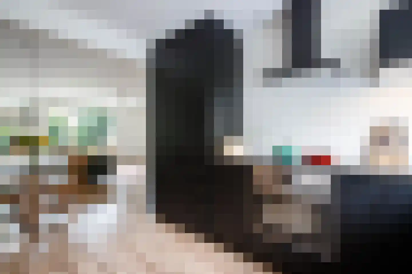 Baliemolenerf 21 Gouda thumbnail 7