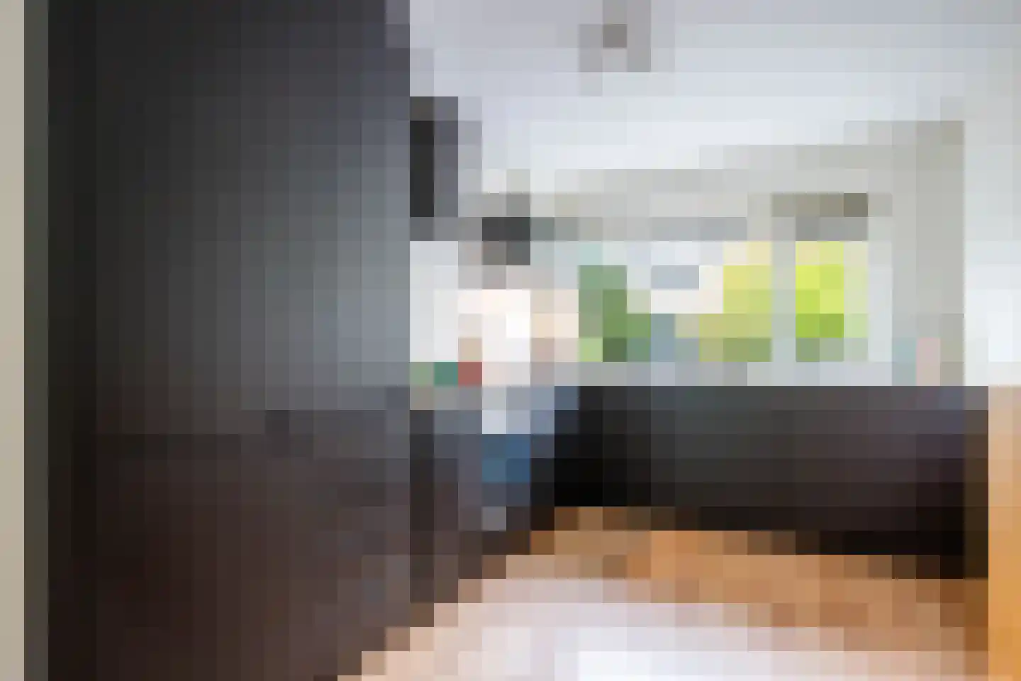 Baliemolenerf 21 Gouda thumbnail 8