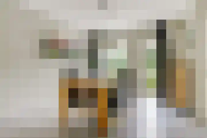 Balijehof 1 Alphen thumbnail 13