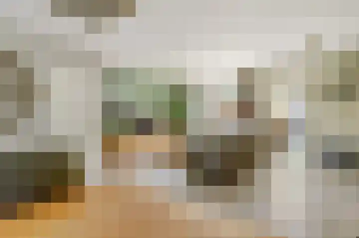 Balijehof 1 Alphen thumbnail 14