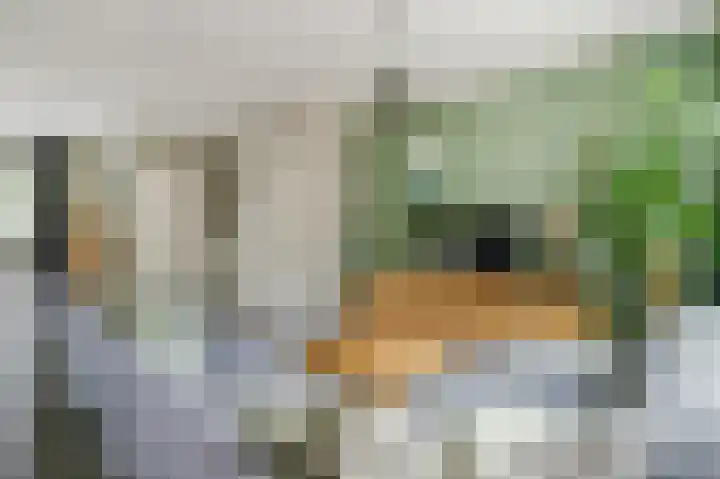 Balijehof 1 Alphen thumbnail 16