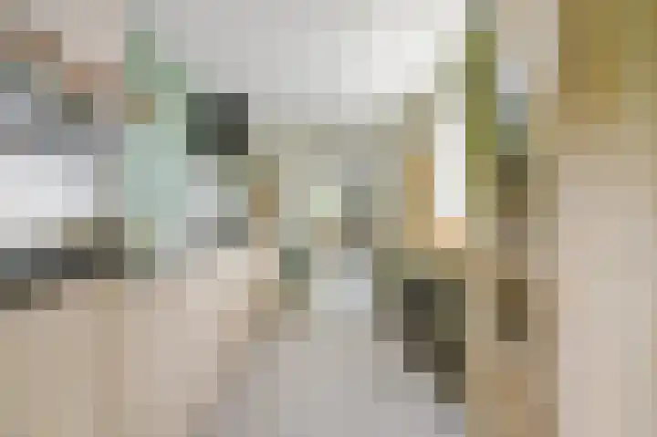 Balijehof 1 Alphen thumbnail 20