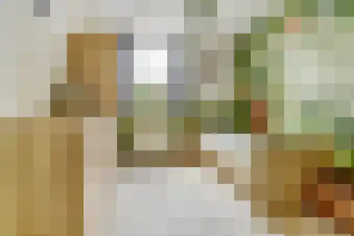 Balijehof 1 Alphen thumbnail 26