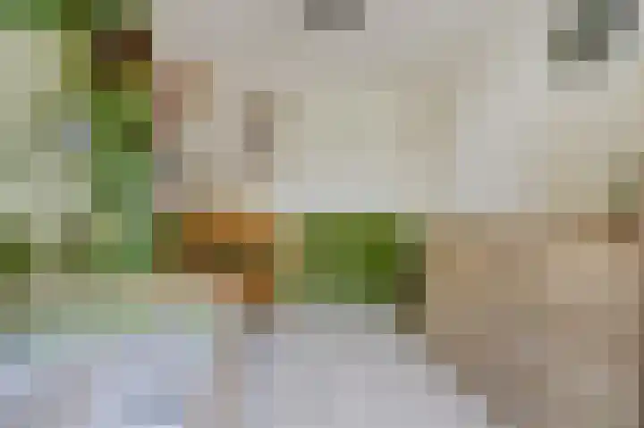 Balijehof 1 Alphen thumbnail 27