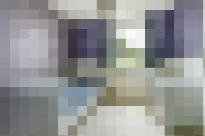 Balijehof 1 Alphen thumbnail 28