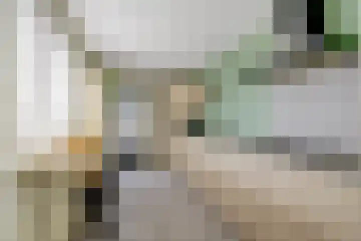 Balijehof 1 Alphen thumbnail 4