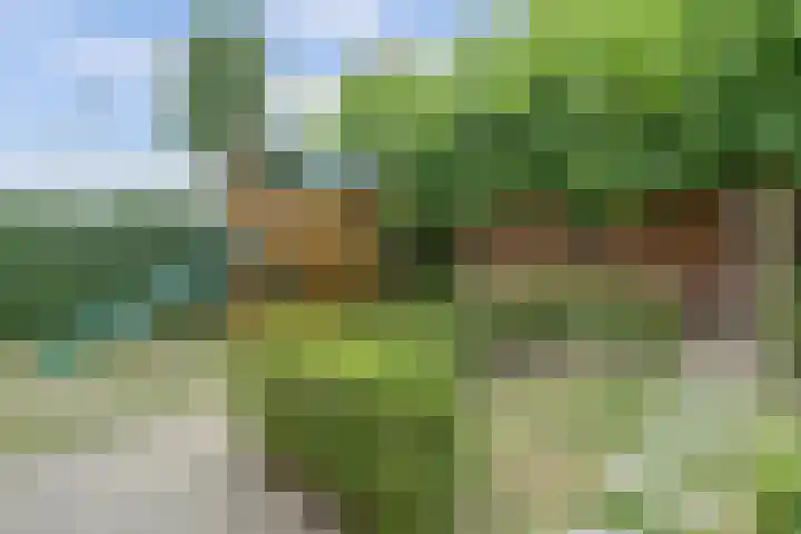 Balijehof 1 Alphen thumbnail 41