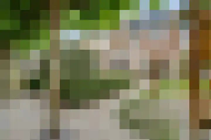 Balijehof 1 Alphen thumbnail 44