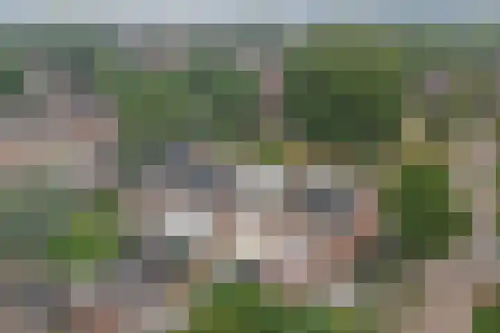 Balijehof 1 Alphen thumbnail 51