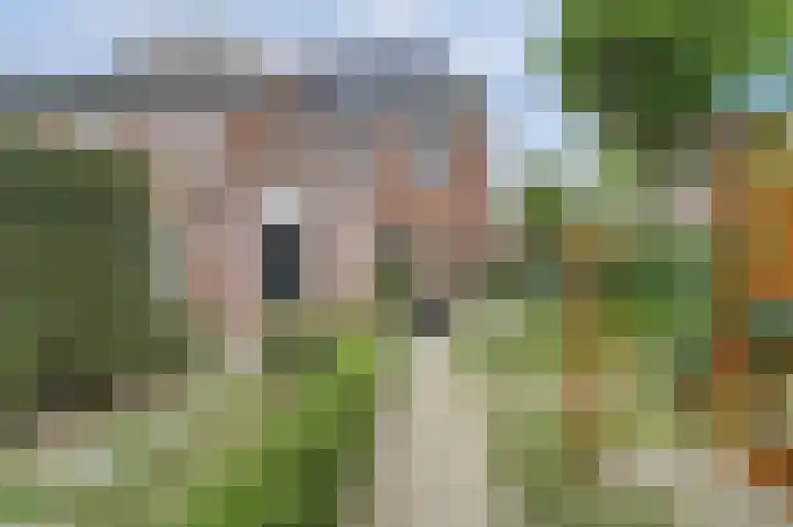 Balijehof 1 Alphen thumbnail 9