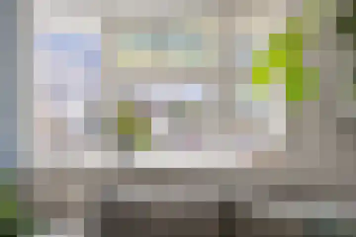 Balijelaan 18 BS Utrecht thumbnail 10
