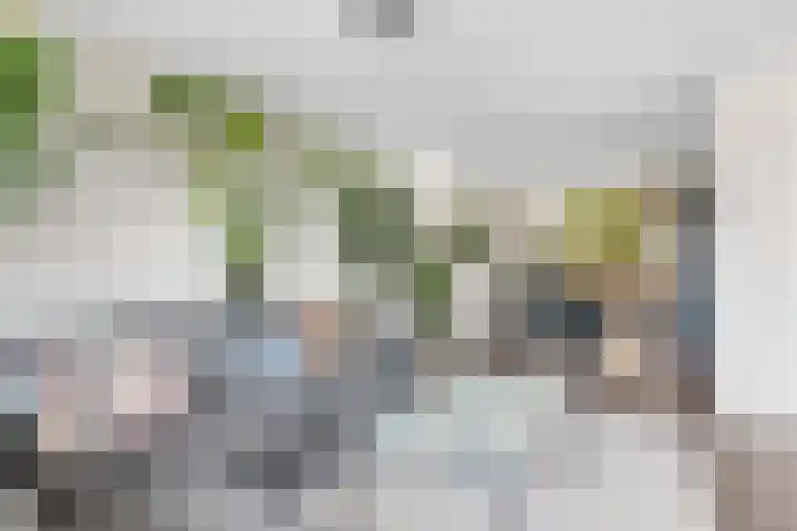 Balijelaan 18 BS Utrecht thumbnail 14