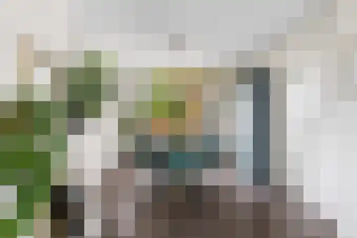 Balijelaan 18 BS Utrecht thumbnail 16
