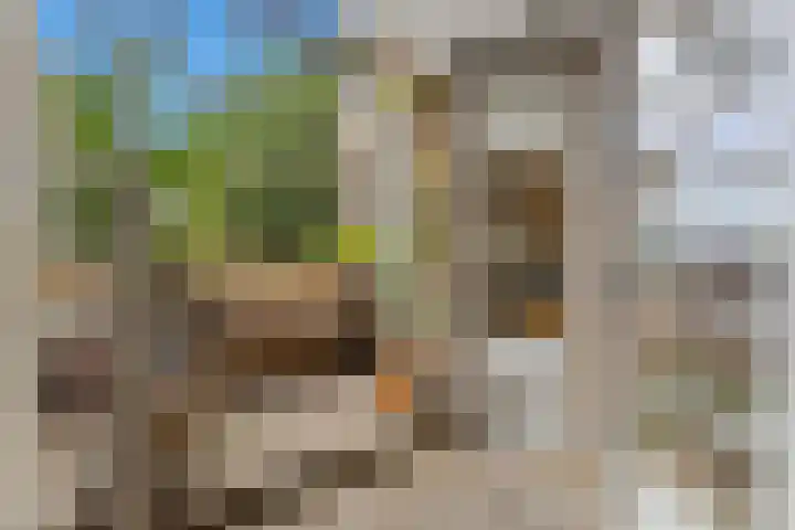 Balijelaan 18 BS Utrecht thumbnail 19