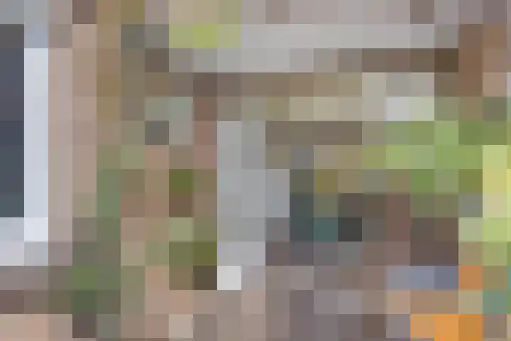 Balijelaan 18 BS Utrecht thumbnail 21