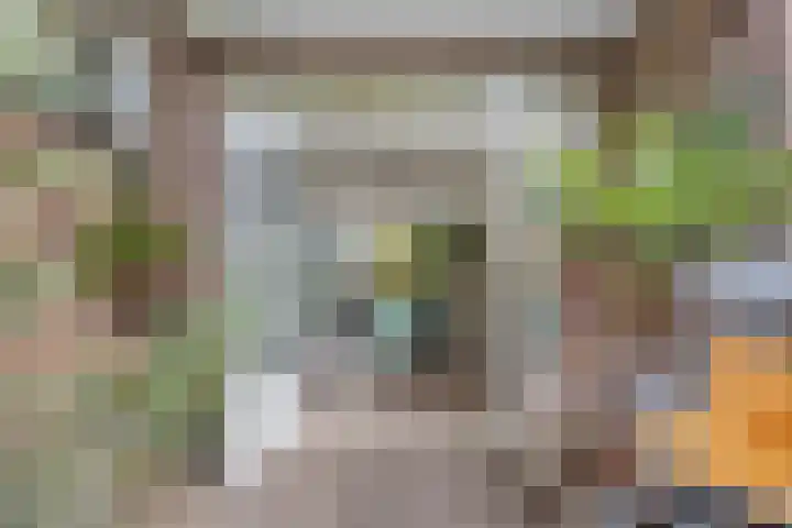 Balijelaan 18 BS Utrecht thumbnail 22