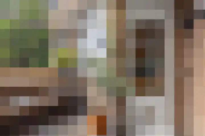 Balijelaan 18 BS Utrecht thumbnail 23