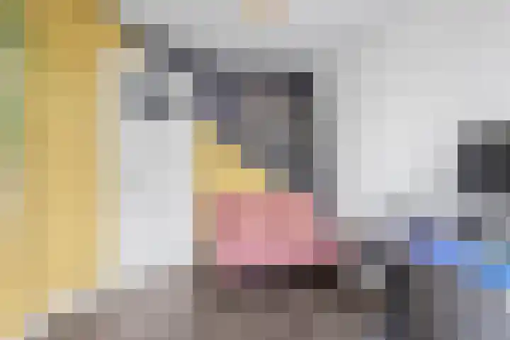 Balijelaan 18 BS Utrecht thumbnail 28