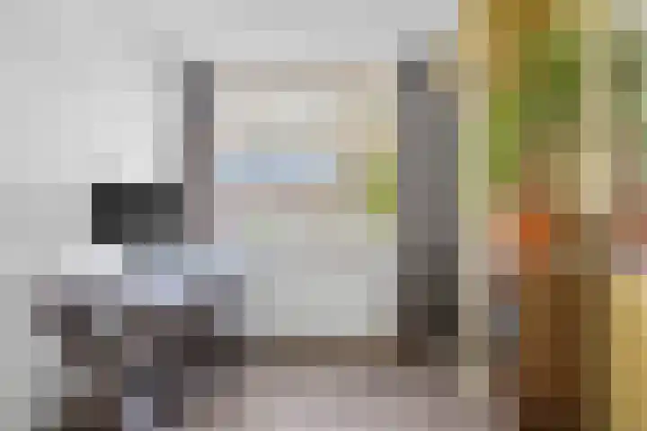 Balijelaan 18 BS Utrecht thumbnail 29