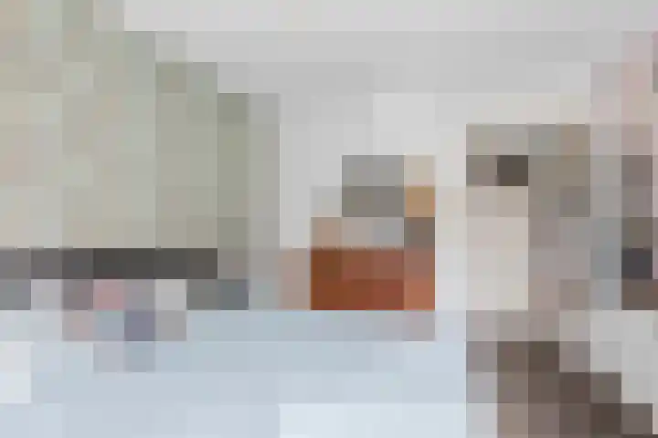 Balijelaan 18 BS Utrecht thumbnail 31