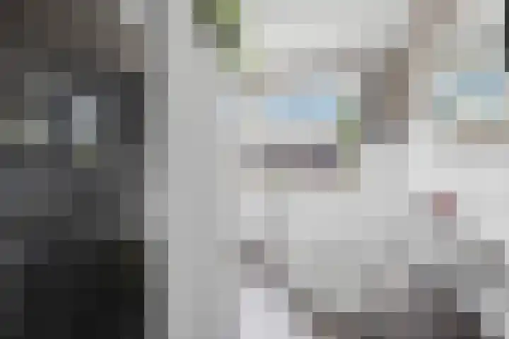 Balijelaan 18 BS Utrecht thumbnail 32