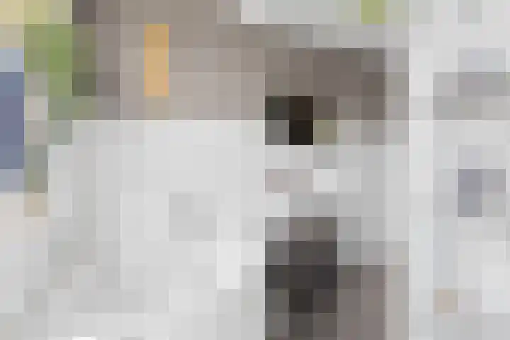 Balijelaan 18 BS Utrecht thumbnail 33