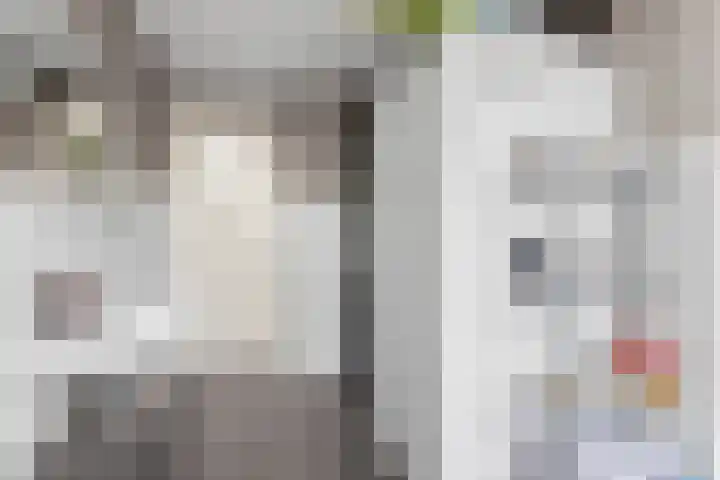 Balijelaan 18 BS Utrecht thumbnail 34