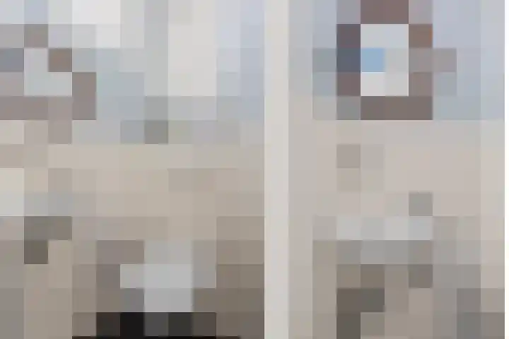 Balijelaan 18 BS Utrecht thumbnail 37