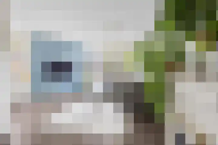 Balijelaan 18 BS Utrecht thumbnail 6